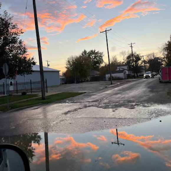 Meet your Posher, Bella - Picture 1 of 1